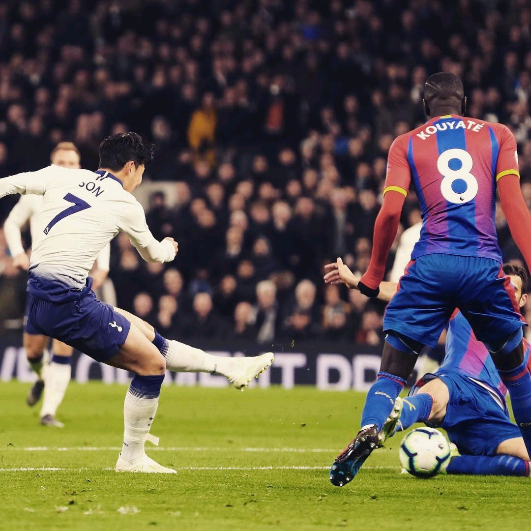 市場行情分 市場行情分