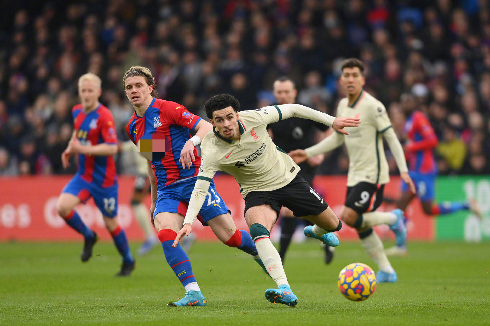 素的影响 素的影响